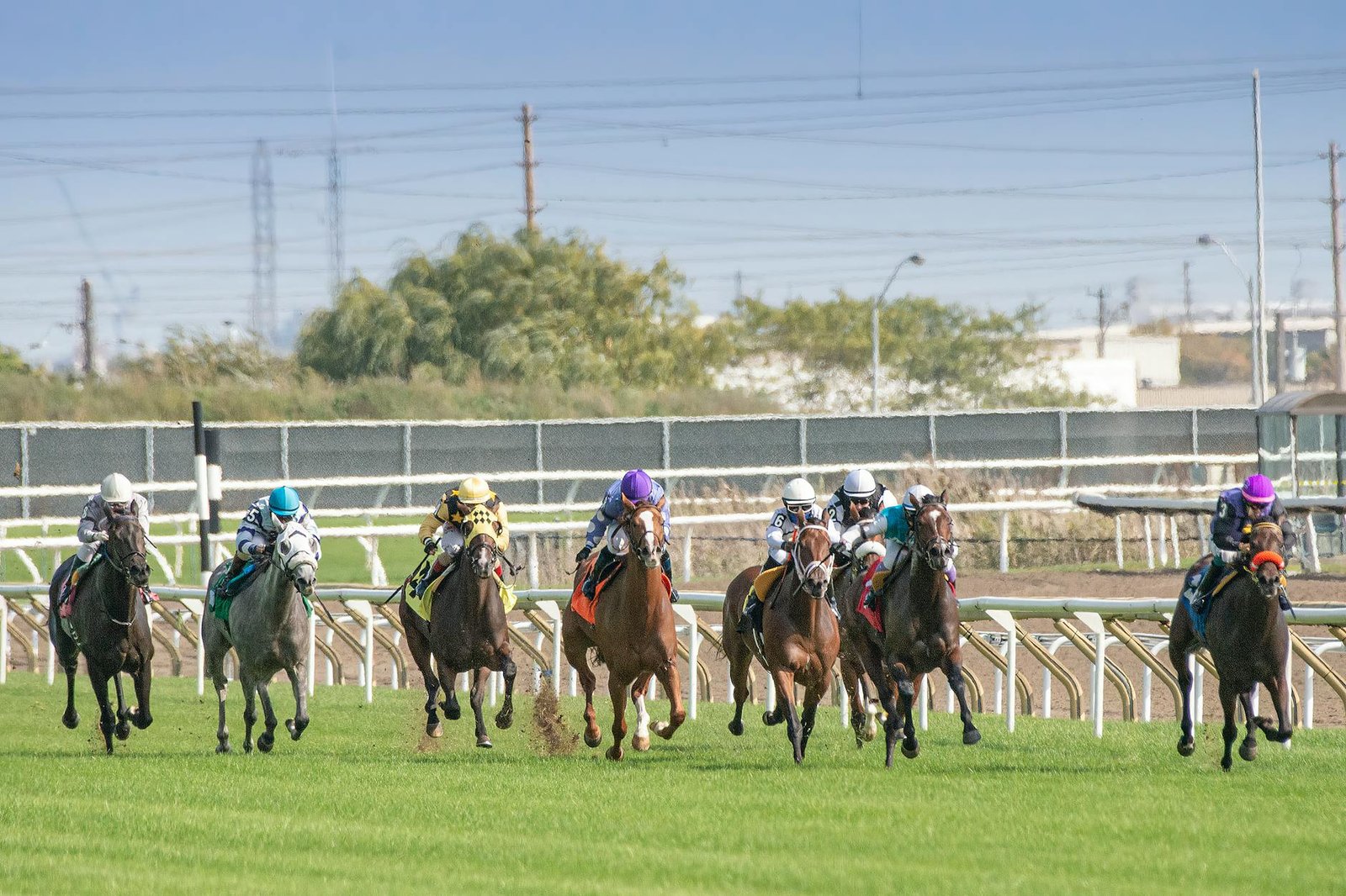 people riding horses on a grassy field