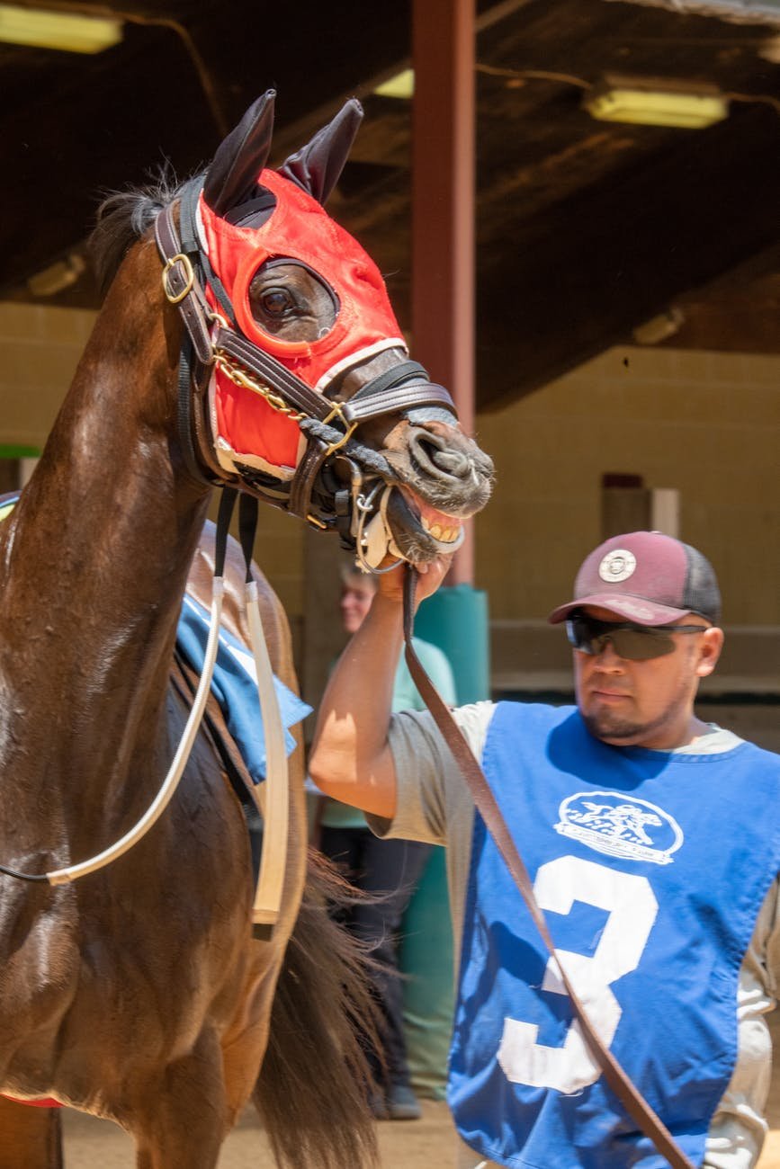 man in blue and white shirt holding brown horse